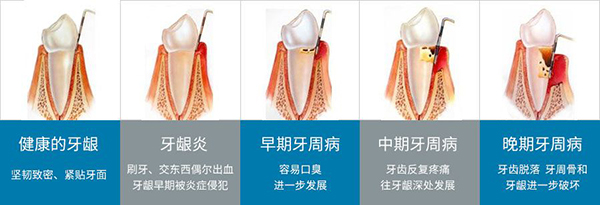 衡阳市蒸湘区谢氏口腔门诊部,衡阳口腔专科医疗机构 衡阳市蒸湘区谢氏口腔门诊部,衡阳口腔专科医疗机构